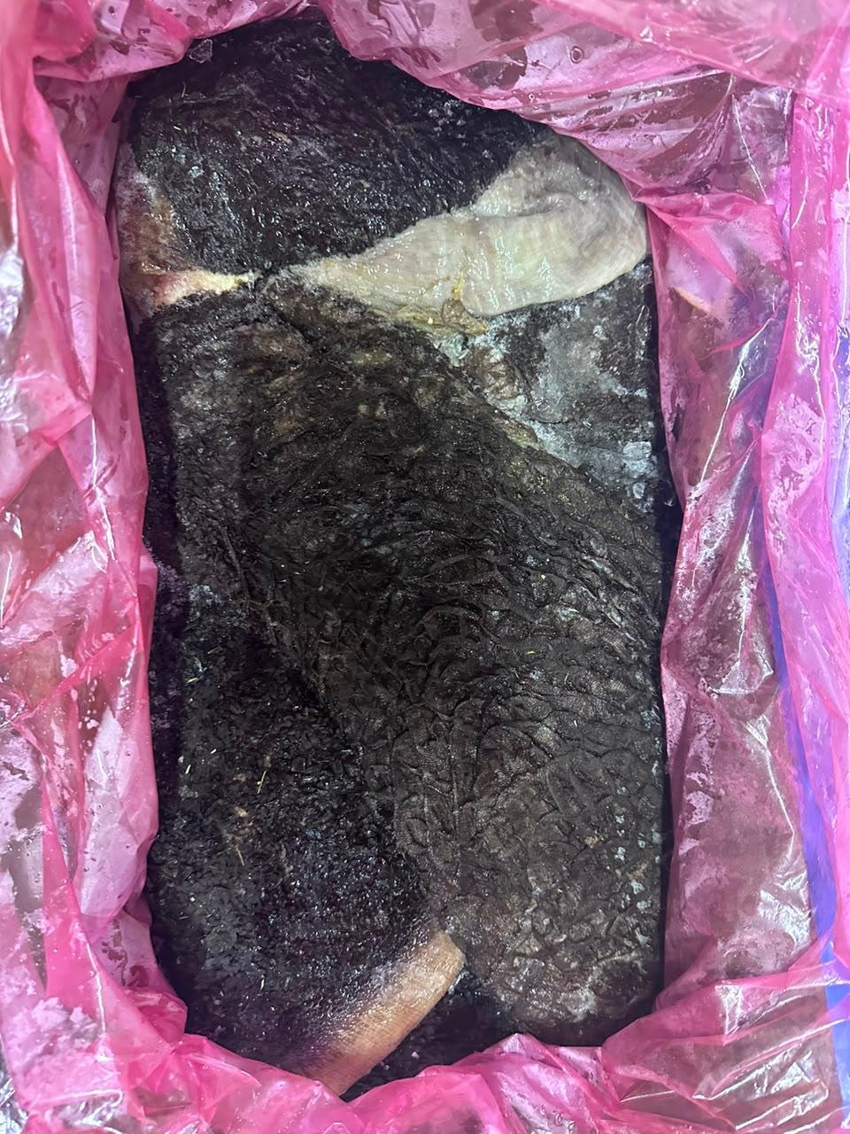 Tripe de bœuf