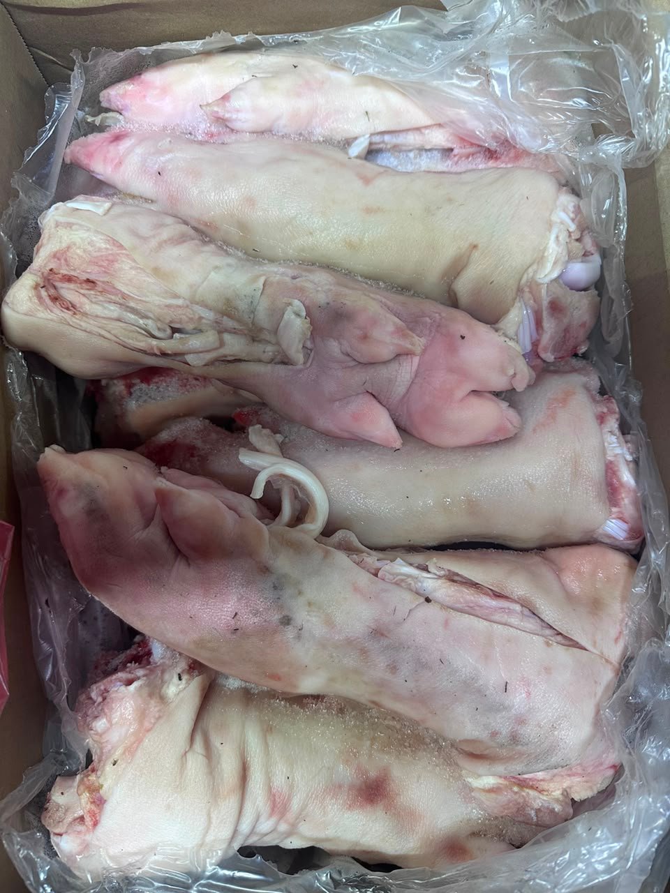 Patte de porc